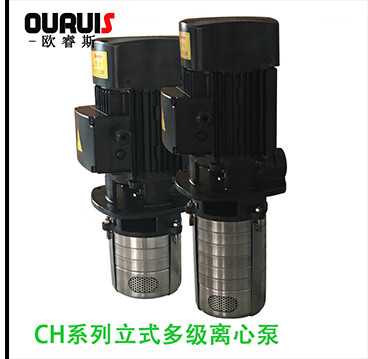 015b818560bb043e.jpg