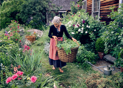 塔莎的花园 【正版图书,放心购买】