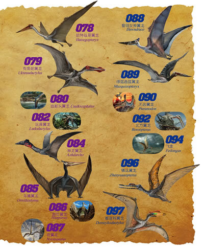 少儿成长大百科超级翼龙全书赵闯绘杨杨文湖南科技出版社