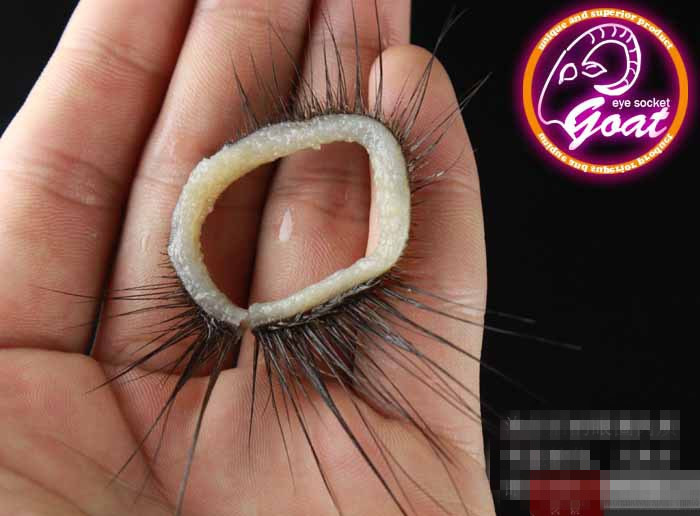 云曼天然羊眼圈男用套锁精环包皮阻复环包皮环包皮过长矫正环切器入珠