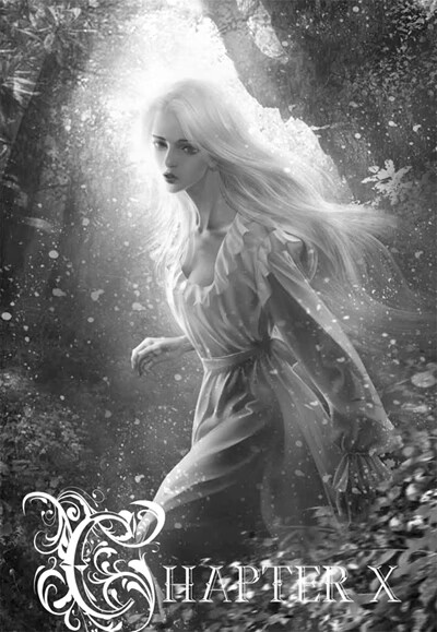 正版艾莎的森林上张晶长江文艺出版社9787535459800