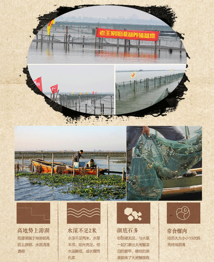 8只裝大閘蟹中秋禮盒