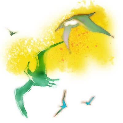 海鸥乔纳森封面设计图片