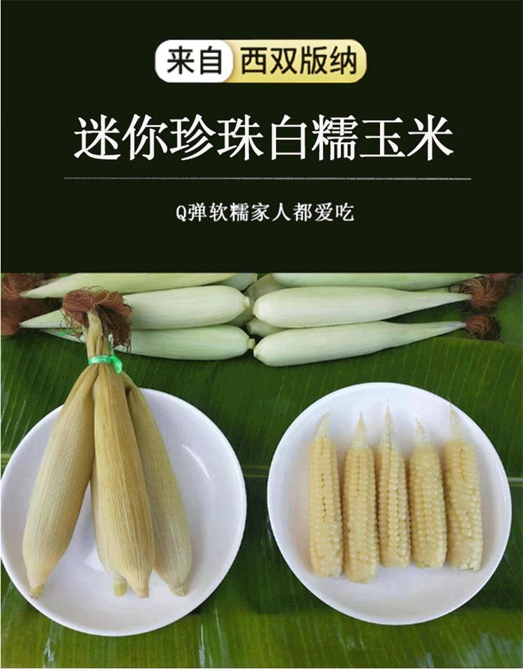 东源兴(dongyuanxing) 西双版纳 迷你珍珠白糯玉米 礼盒装 22根