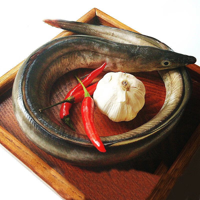 大鳗鱼 鲜活白鳝鱼 新鲜海鲜水产 河鳗鱼 深海海鱼 鳝鱼 鳗鲡鱼 6斤