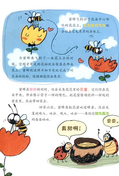 美绘科学馆瓢虫历险记各种各样的昆虫北京水晶石影视传媒科