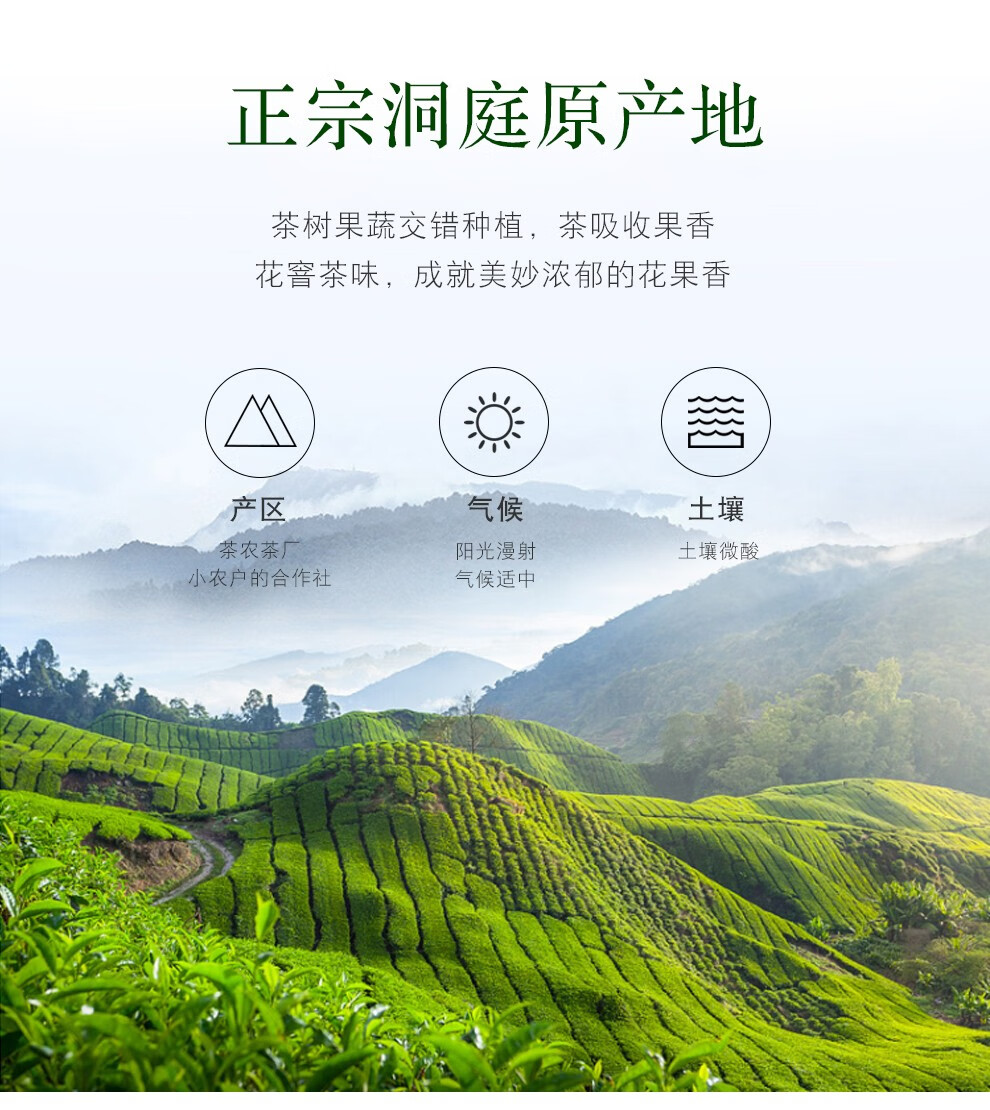 8家吧茶叶2021年新茶碧螺春浓香绿茶散装罐装碧螺春新蓝色福罐150g