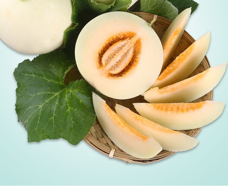 精选阎良白皮甜瓜头茬农家香瓜脆瓜新鲜水果25斤