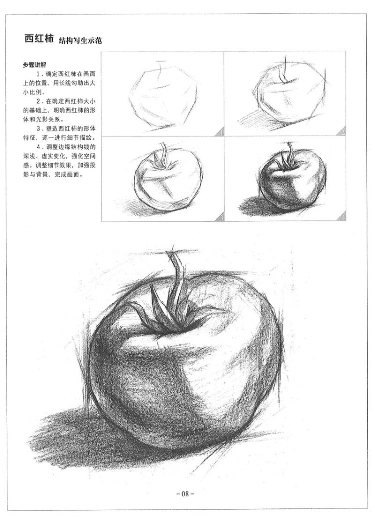 正版素描基础教程从结构到明暗一套4本安徽美术出版社赵锦杰张雷