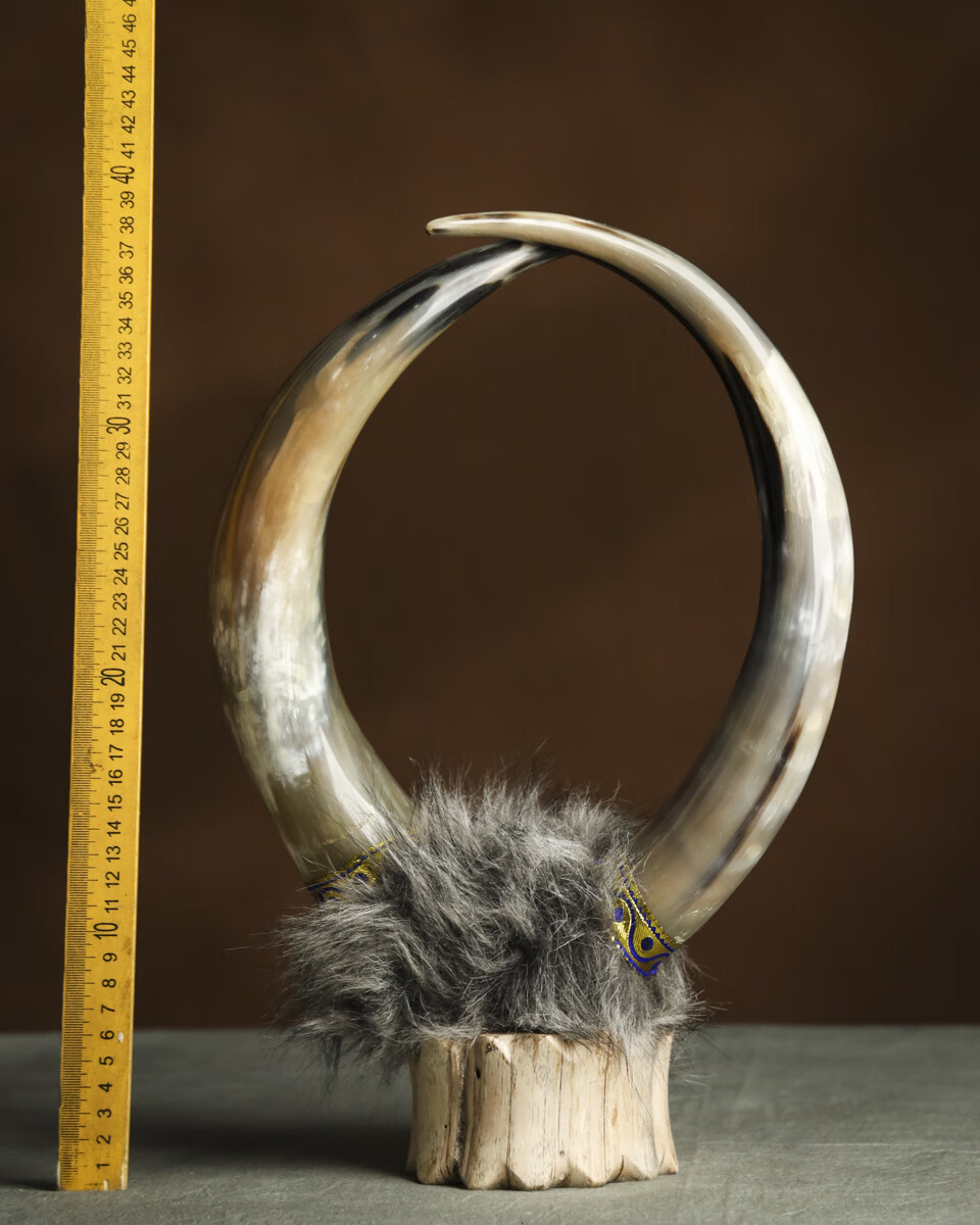 编号:sy61珍稀牛角对角镇宅摆件