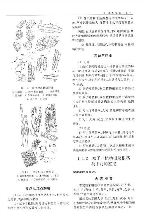 中药鉴定学实验(第2版) 张贵君