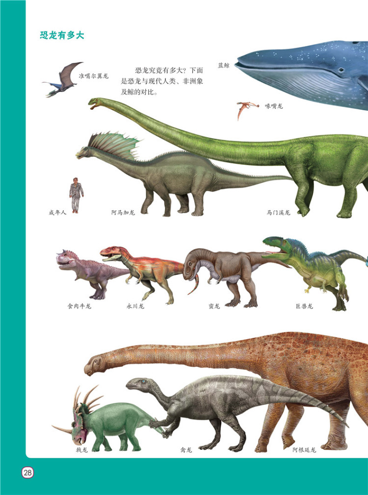 儿童恐龙百科全书恐龙探秘化学工业出版社9787122281845董枝明著央美