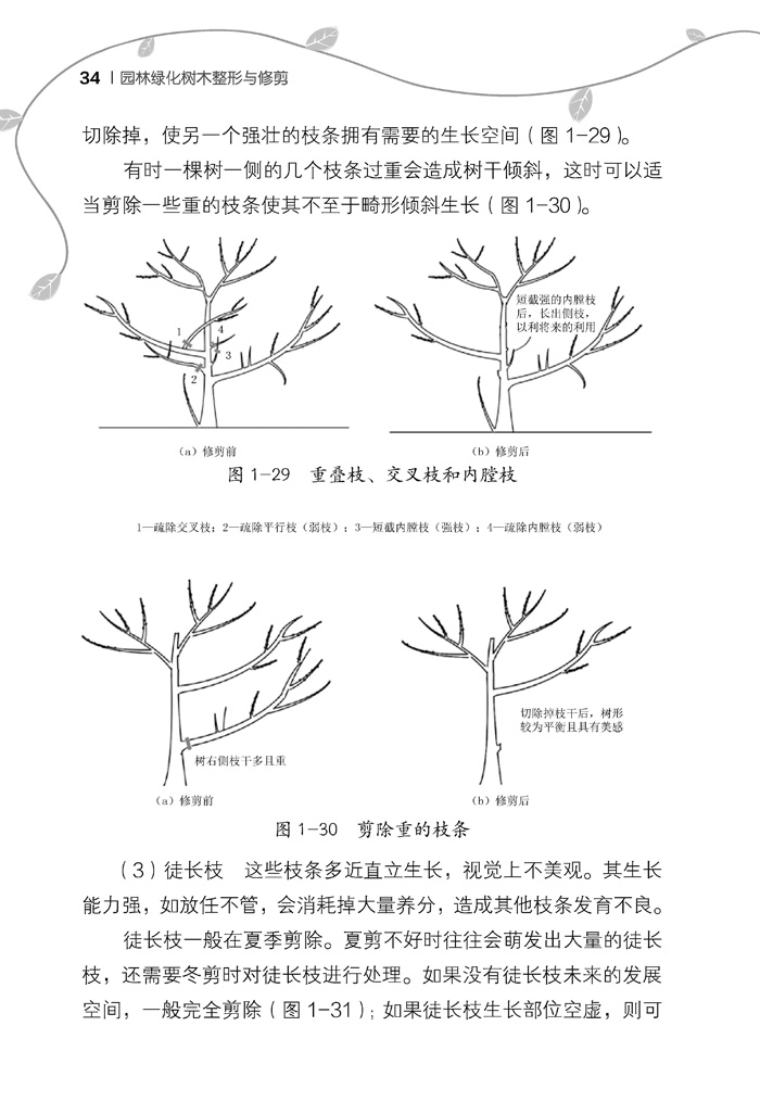 二手99成新园林绿化树木整形与修剪