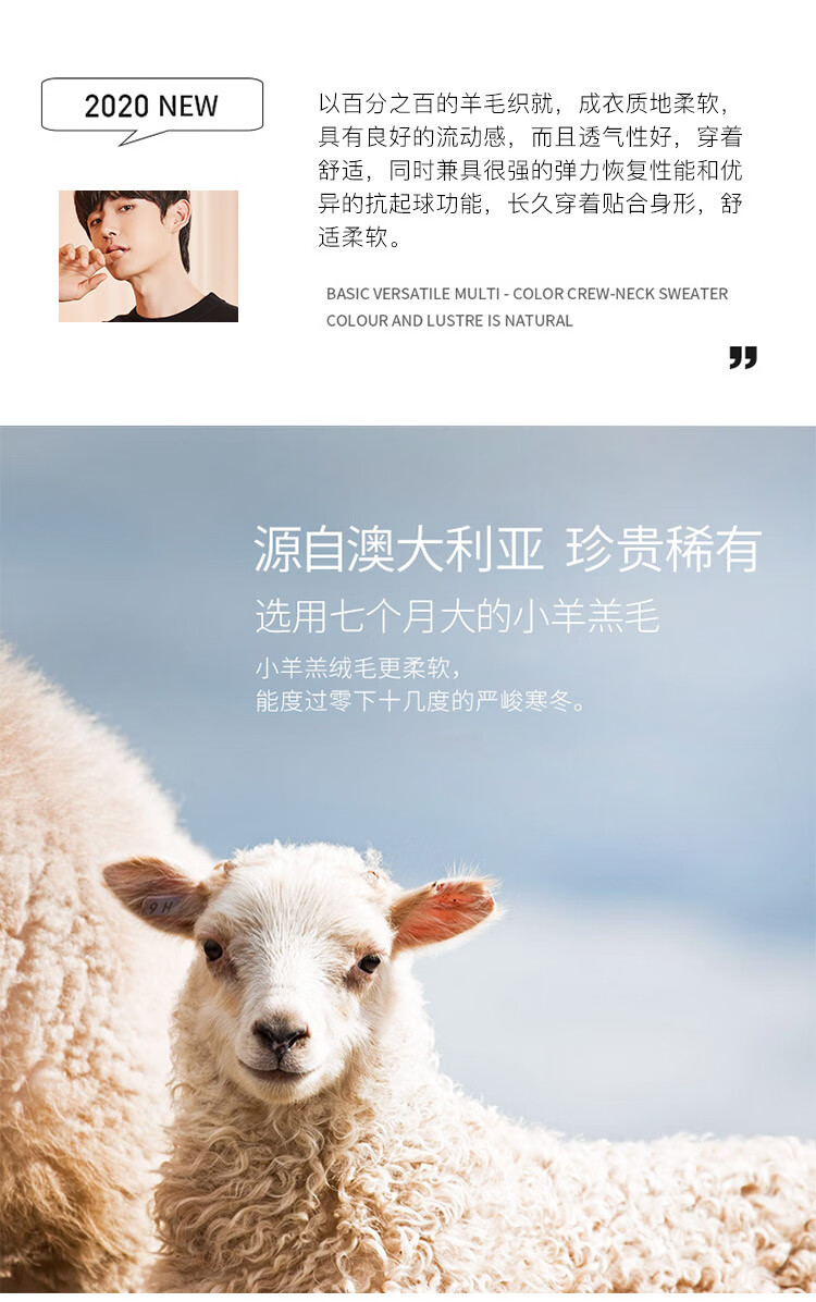 猫人miiow 【专柜同款】优质澳大利亚纯绵羊毛亲肤保暖圆领男式羊毛衫