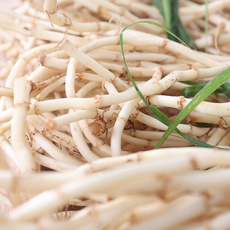 新鲜现挖鱼腥草 折耳根 节节根 凉拌菜 新鲜蔬菜 净折耳根2kg