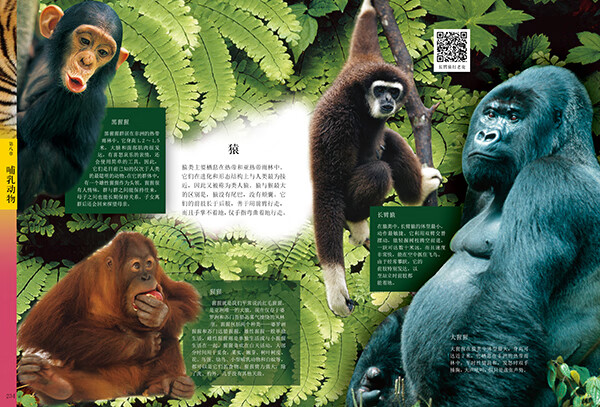 《中国动物百科 《中国动物百科》》【摘要 书评 试读】- 京东图书