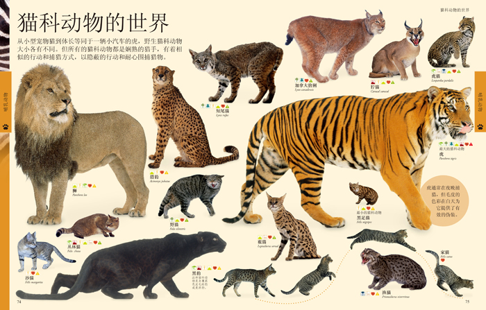 正版dk动物百科全书第2版英国dk公司中国大百科全书出版社