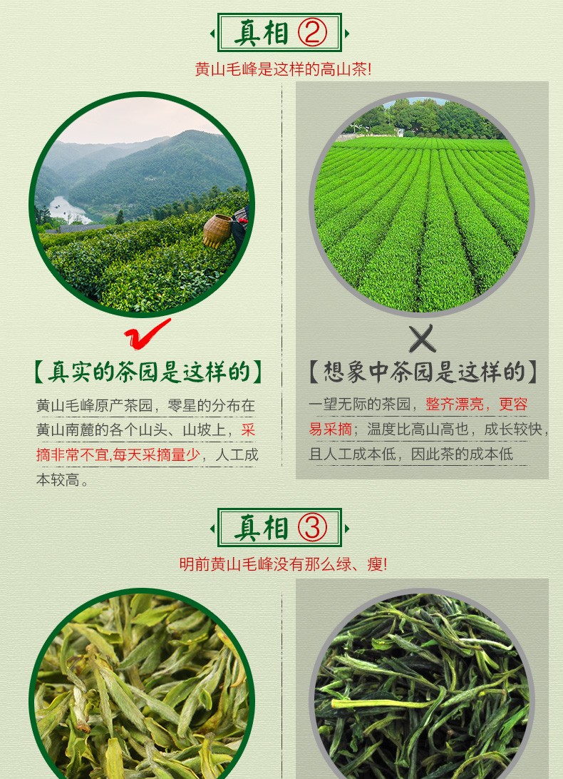 【中华老字号】谢裕大 原产地黄山毛峰春茶 明前嫩芽60g 绿茶叶新茶