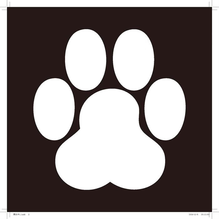 宝宝视觉激发早教卡黑白卡一杨振华