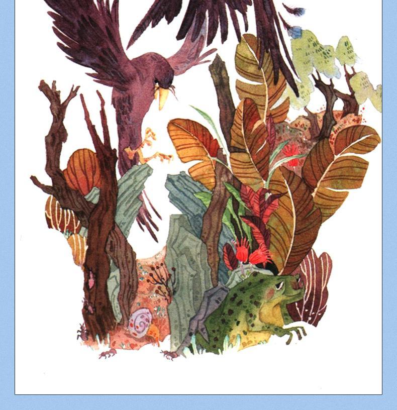 小翅膀周晓枫文学9787521200478