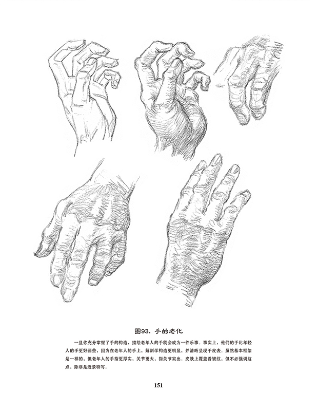 路米斯经典美术课头手素描