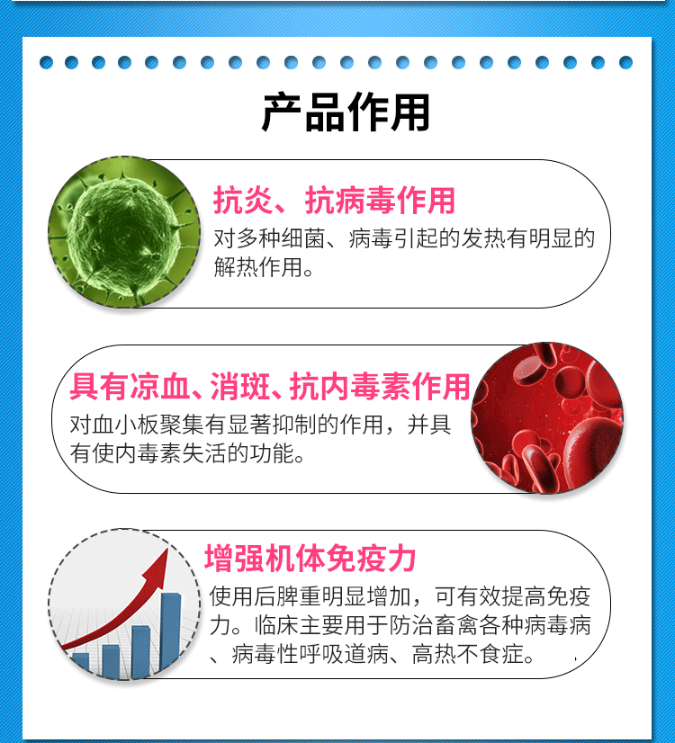 金处方 板青颗粒溶于水 风热感冒咽喉肿痛猪药鸡药板蓝根兽药抗病毒