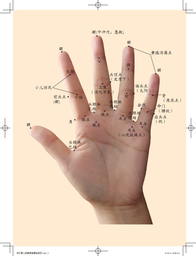 周尔晋心脑疾病按摩法首次附赠周尔晋手穴彩图7张周尔晋周淳魏宁广西