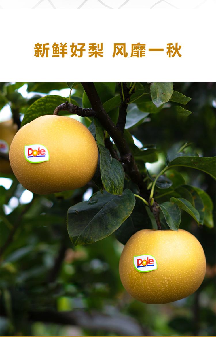 都乐(dole) 白玉丰蜜梨 3.5kg 水果【图片 价格 品牌 报价】-京东