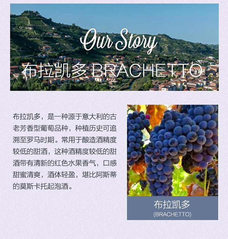 星空玫瑰(stella rosa) 意大利进口 低泡红葡萄酒 750ml(新旧包装随机