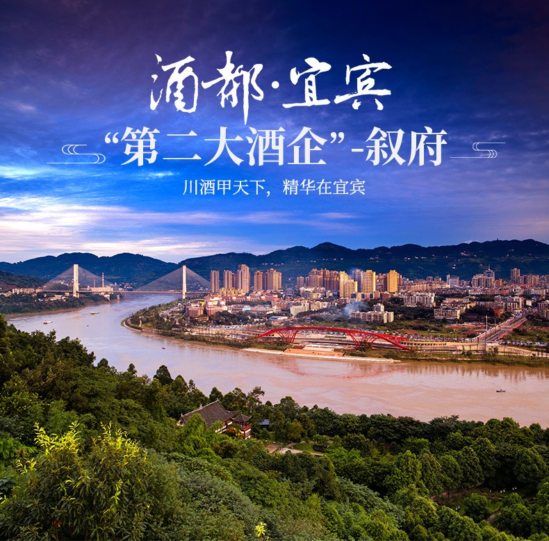 53°柔雅叙府珍藏白酒500ml