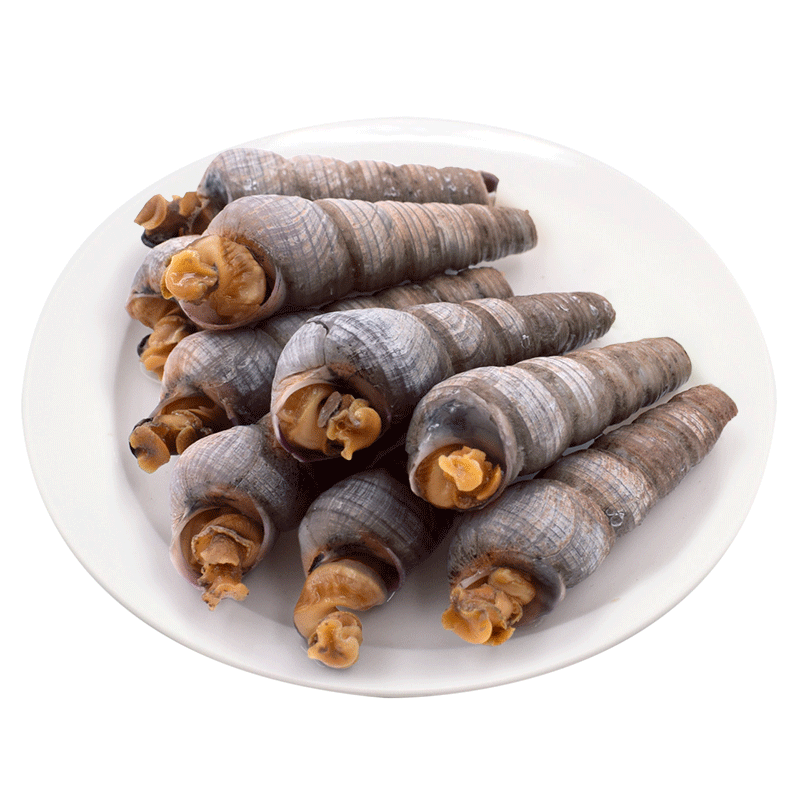 钉螺 新鲜小海螺丝丁螺 锥螺 长螺 海螺 海瓜子 贝壳类 8斤