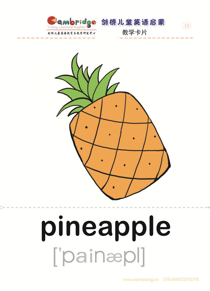 正版剑桥儿童英语教学卡片曹冬电子出版物数据中心9787899976814