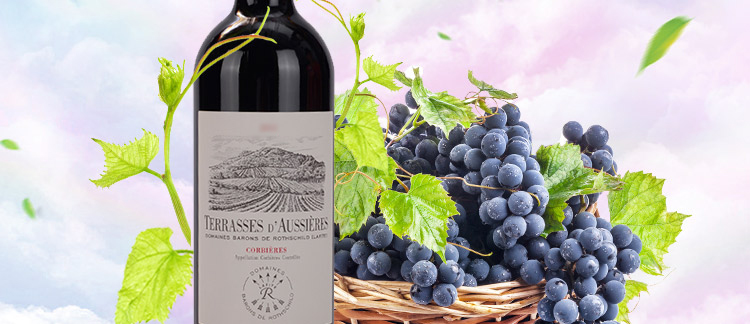 奥希耶法国进口特爱科比埃法定产区干型红葡萄酒750ml