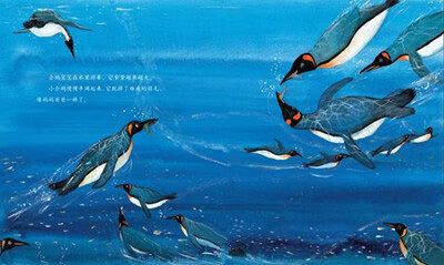 大白鲸计划保冬妮绘本海洋馆季王企鹅的幸运星保冬妮卢瑞娜绘