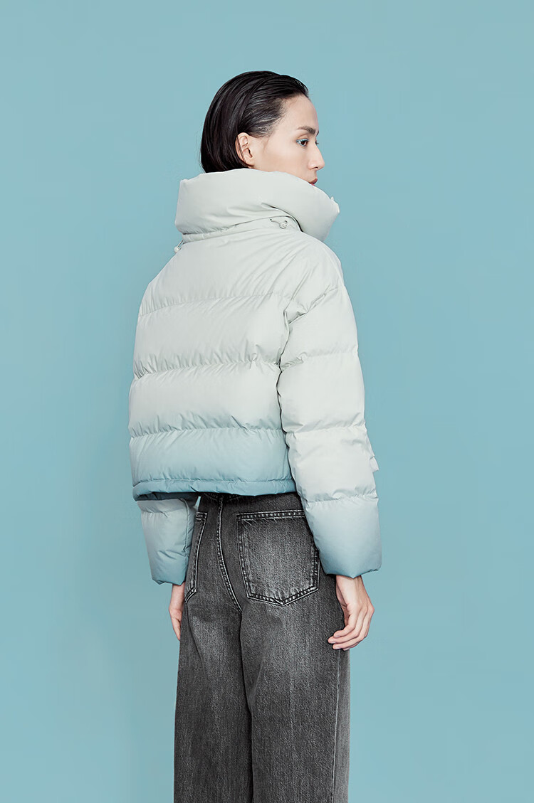 艾莱依eral 女装羽绒服女短款时尚渐变女羽绒服立领保暖短款羽绒服女