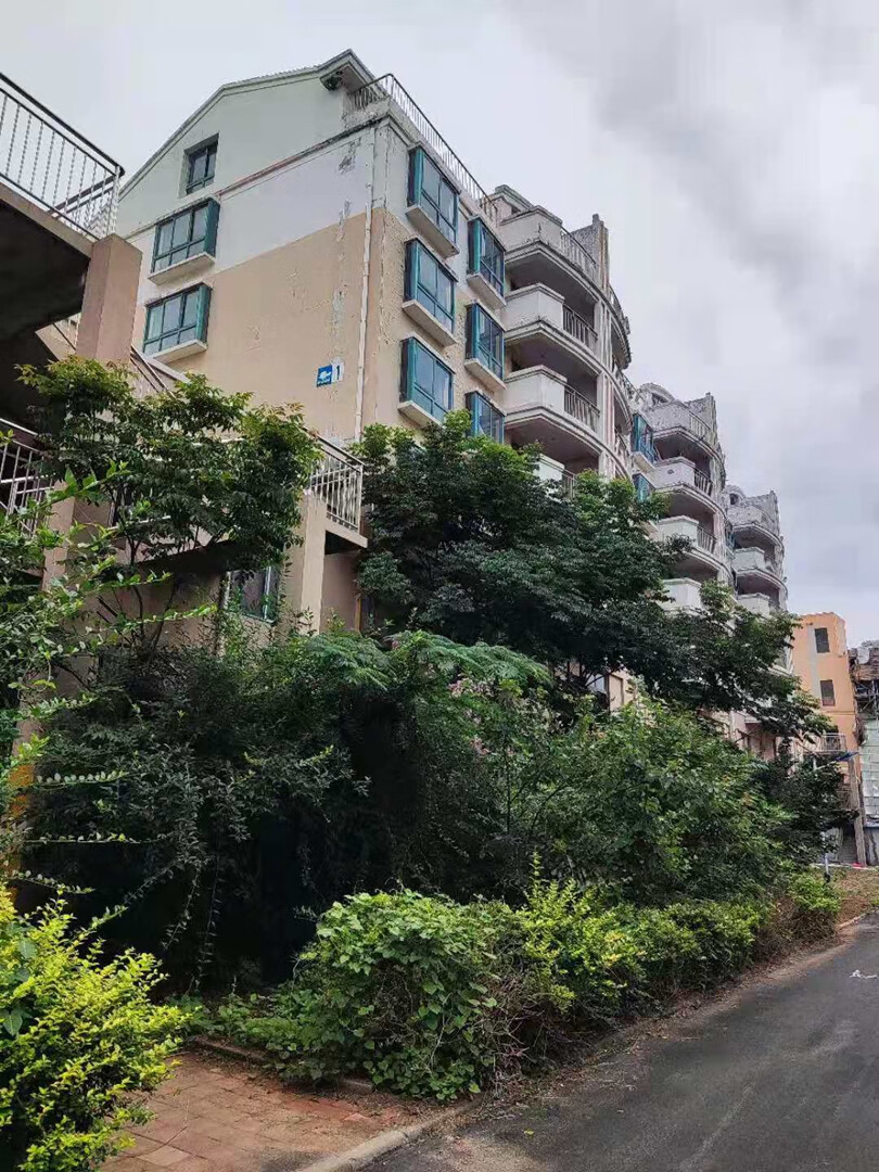 青岛市胶州市九龙镇建设路7号万通花苑小区1号楼1单元502户