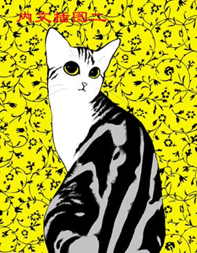 《特别的猫 (英)多丽丝·莱辛,彭倩文 浙江文艺出版社 9787533925888