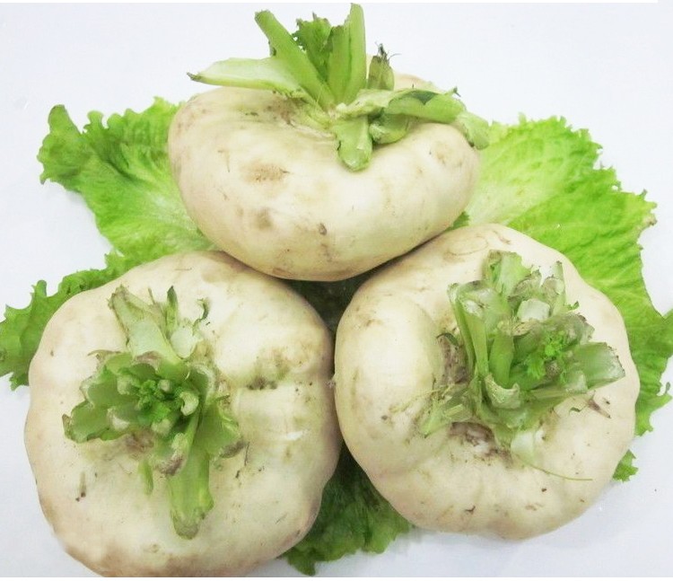 现挖恰玛古蔓菁盘菜扁头菜诸葛菜大头菜圆菜头新鲜蔬菜曼青扁萝卜 2.