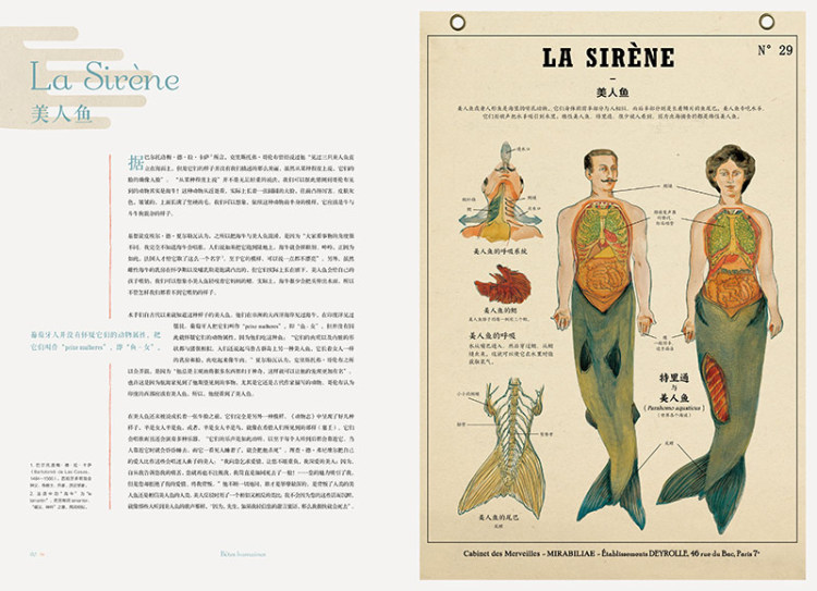 博物学家的神秘动物图鉴法让巴普蒂斯特