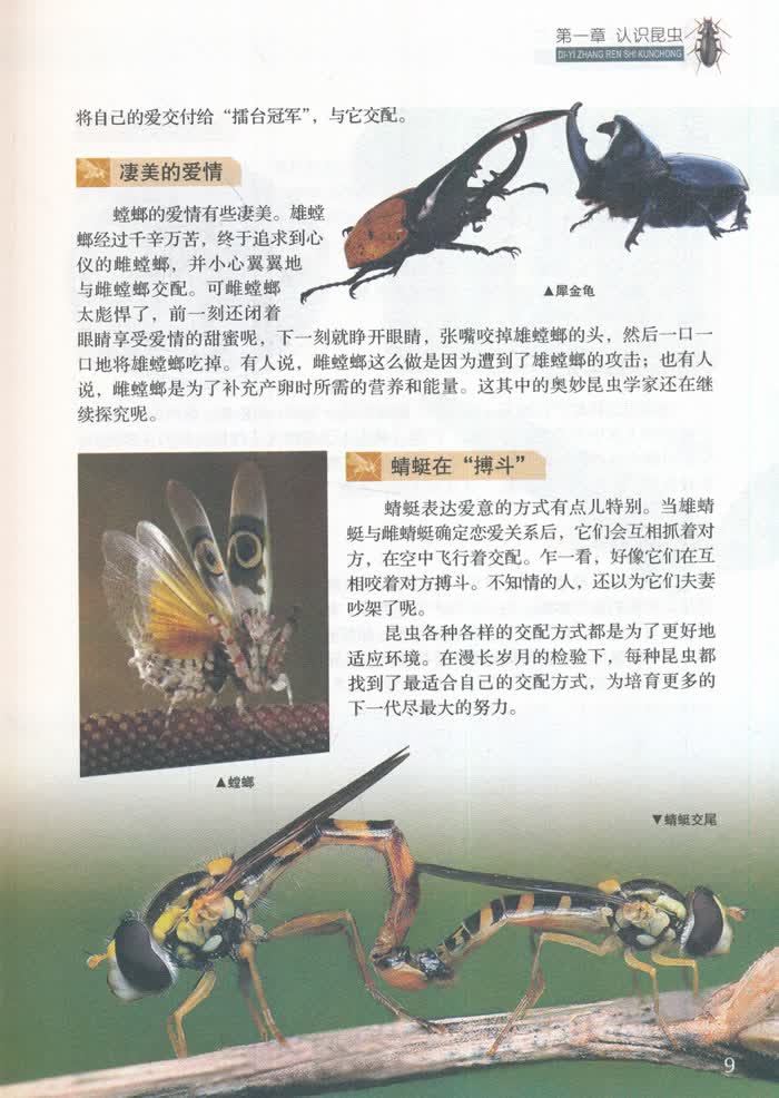 《七彩书坊 昆虫百科全书(彩图版) 陈志宏》【摘要 书评 试读】- 京东