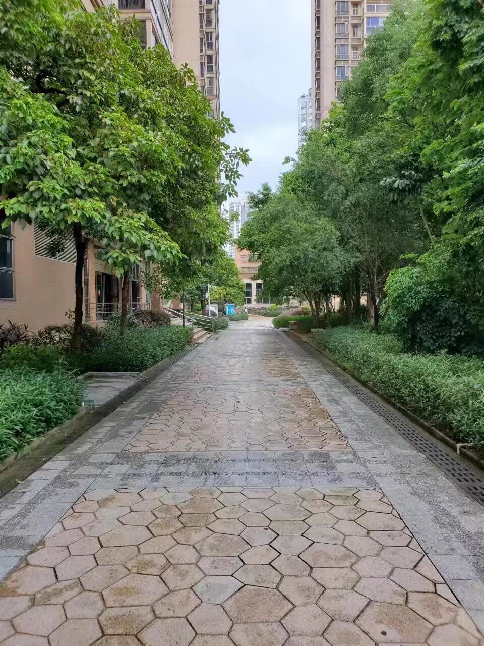 清远市新城北江三路一号金鑫花园三号楼29层02复式号-京东司法拍卖