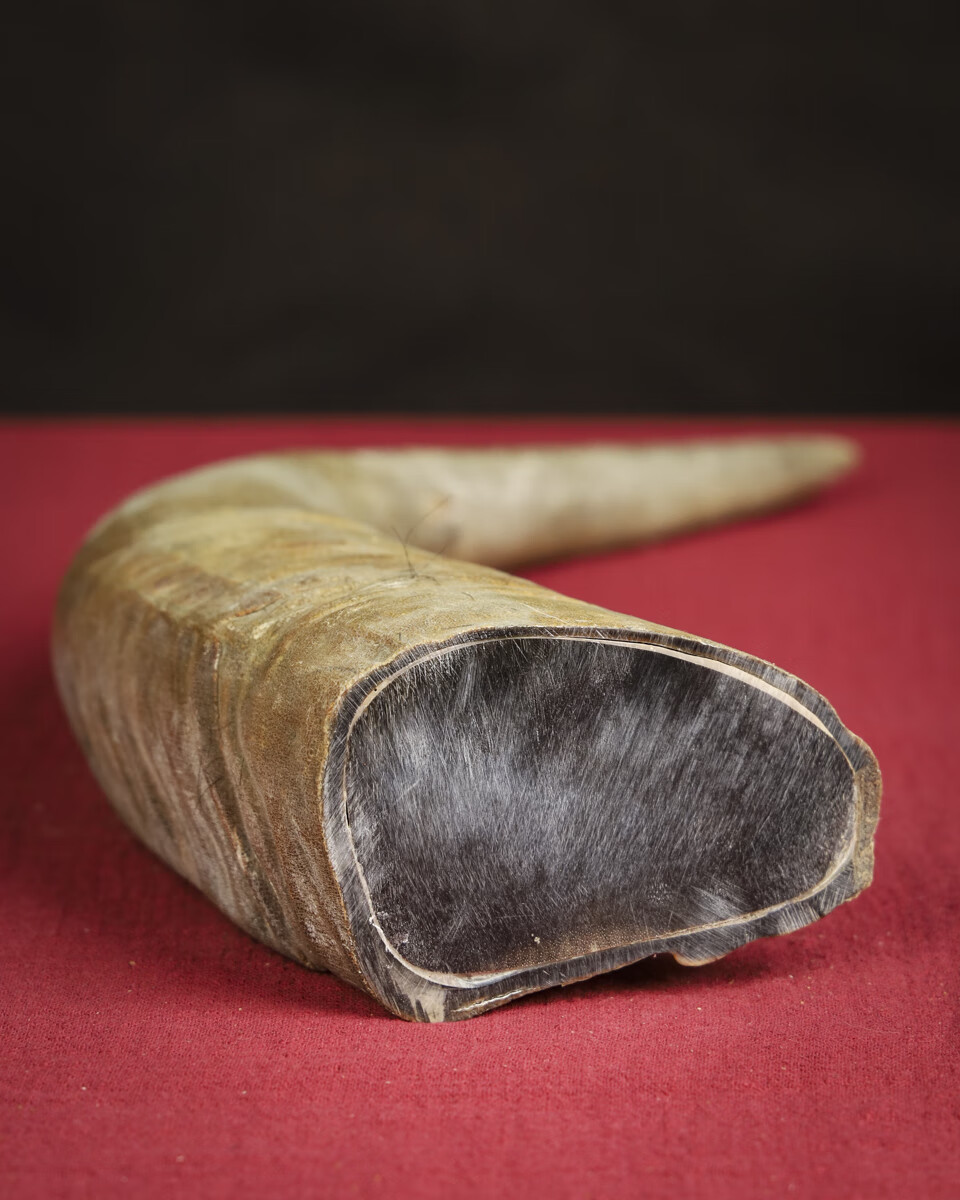 ka432号ot33天然珍稀牛角尖摆件