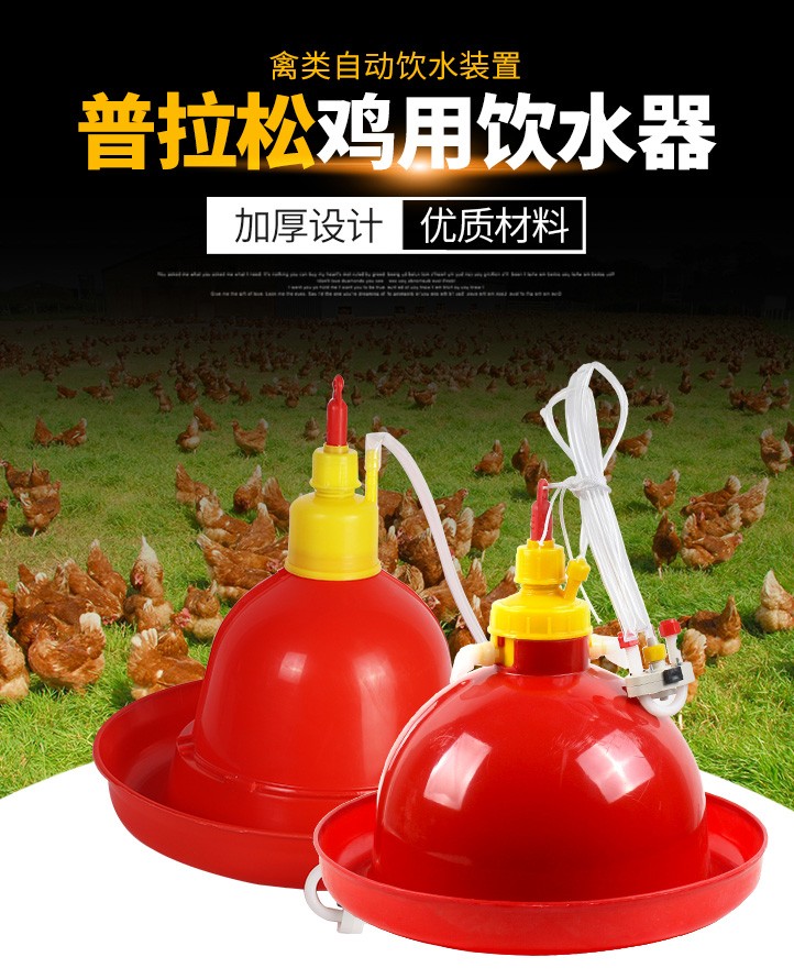 耐尔尼养鸡自动饮水器鸡饮水桶水壶小鸡饮水壶鸡鸭鹅自动饮水器两边
