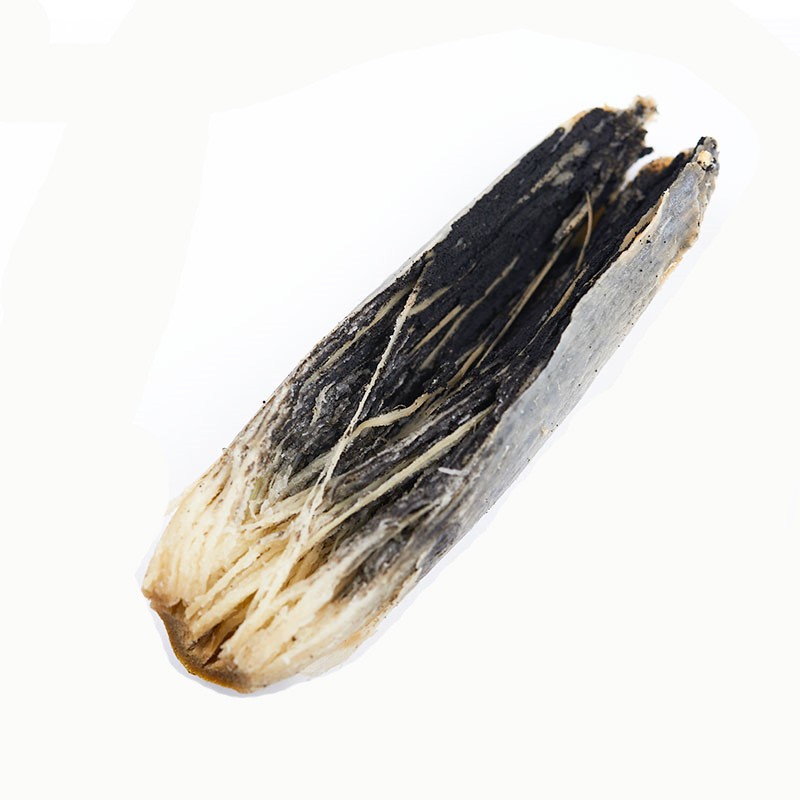 高粱乌米新鲜高粱乌米东北特色美食农家蔬菜乌咪500g