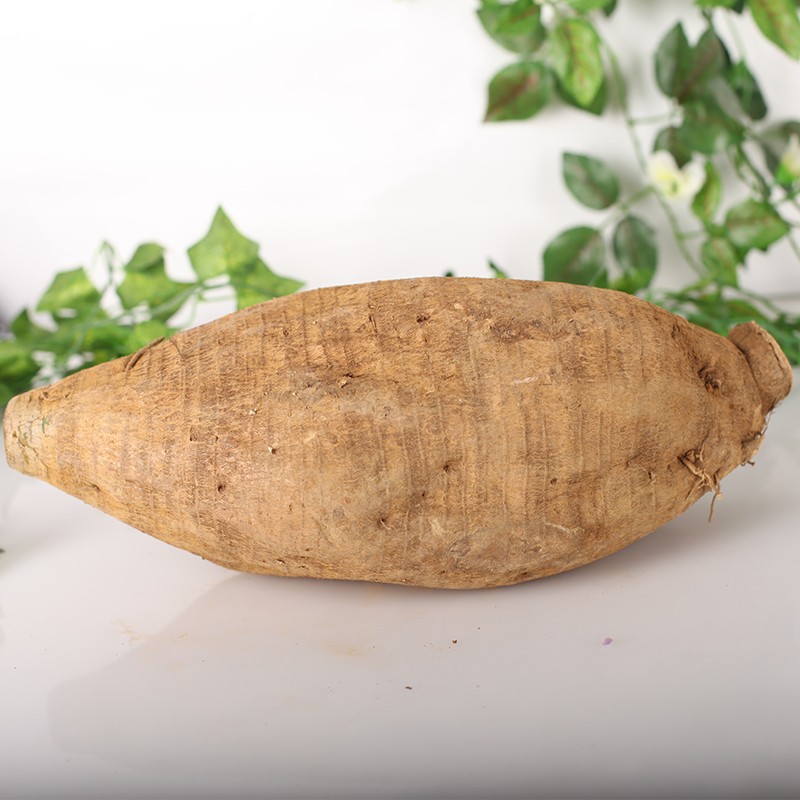 帆儿庄园新鲜葛根黄葛煲汤无渣生葛根水晶粉葛苗现挖葛根无渣粉葛根包