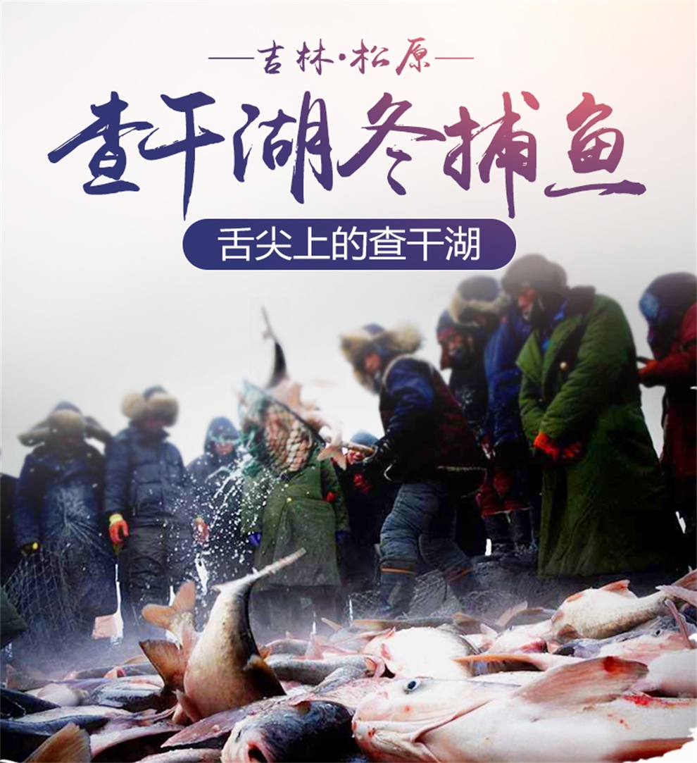 查干湖胖头鱼野生淡水冬捕鱼查干湖鱼礼盒提货券 5斤装