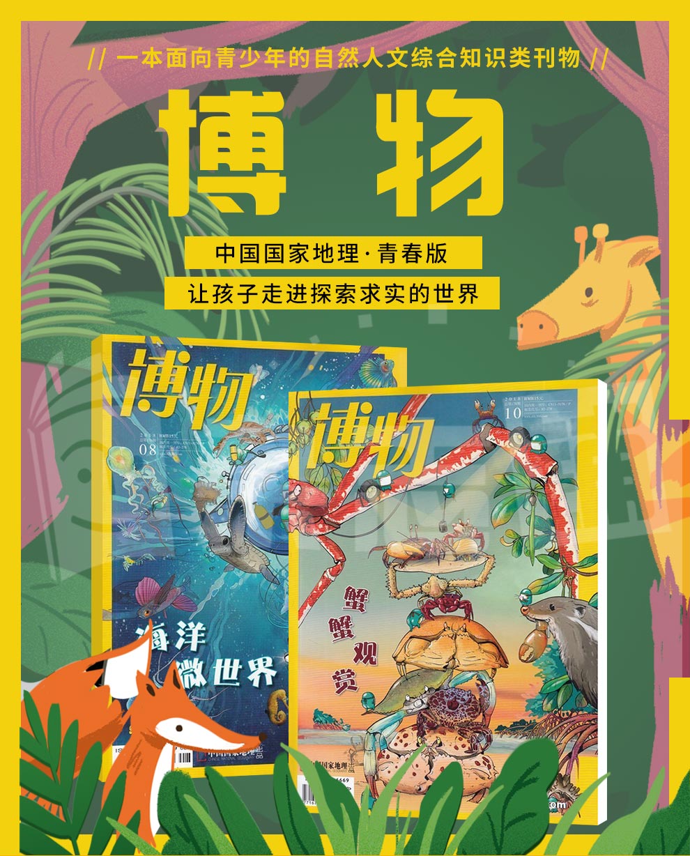 博物英语街初中版两刊组合订阅2021年6月起订阅全年订阅杂志铺