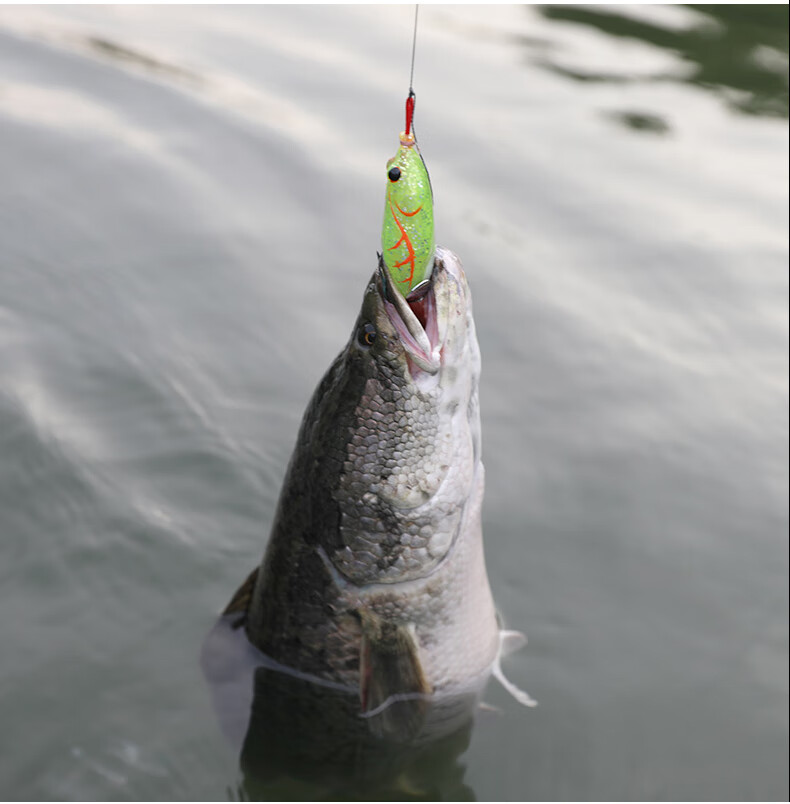 小凤仙路亚饵雷蛙改装配件鸡爪钩钓鱼饵亮片仿生假饵黑鱼乌鳢专杀 亮