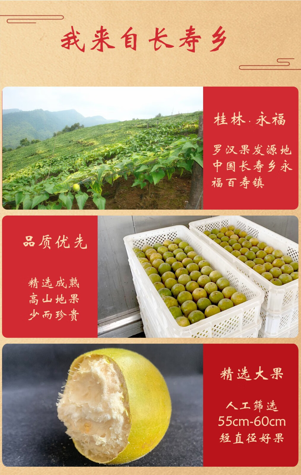 干茶12个黄金大果罗汉果干 低温脱水永福罗汉果花草茶送礼【图片 价格