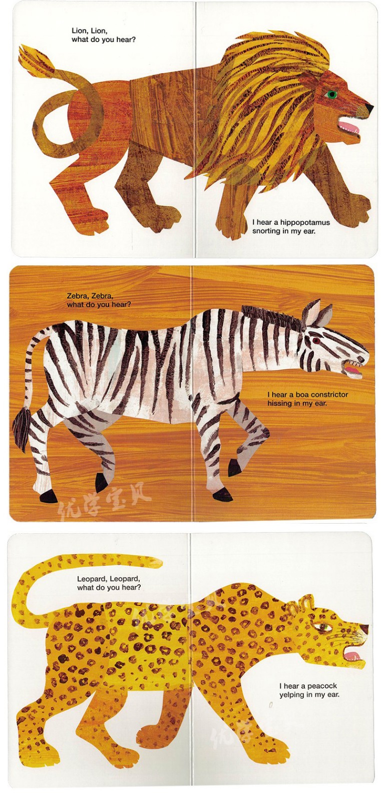 《英文原版绘本 polar bear what do you see 3册eric carle卡尔爷爷